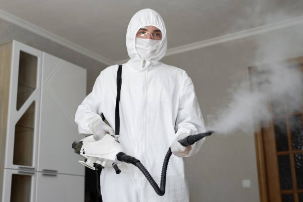 Best Mold Prevention Services  in Solvang, CA